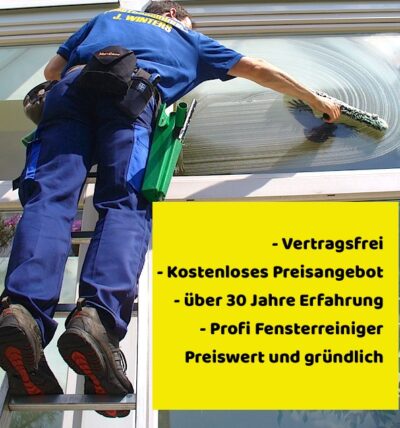 fensterreiniger-steht-auf-glasreinigungsleiter-nürnberg fensterreiniger-steht-auf-glasreinigungsleiter-nürnberg